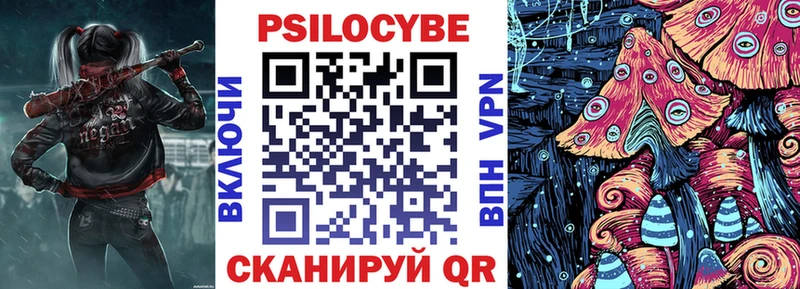 Галлюциногенные грибы Psilocybine cubensis  Палласовка 