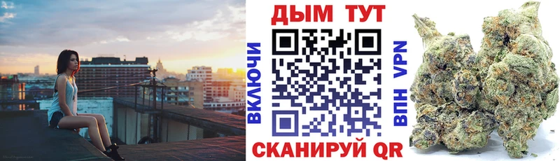 Канабис план  где купить   Палласовка 